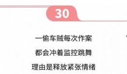 爆料新闻搞笑图片素材,揭秘那些让人捧腹的新闻幕后