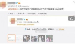 小红书女网红爆料大全最新,热门事件、幕后真相大起底