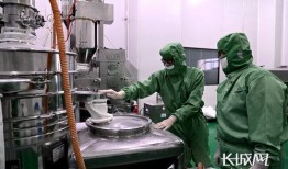 石家庄四药疫情最新爆料,追踪病毒变异与防控措施升级